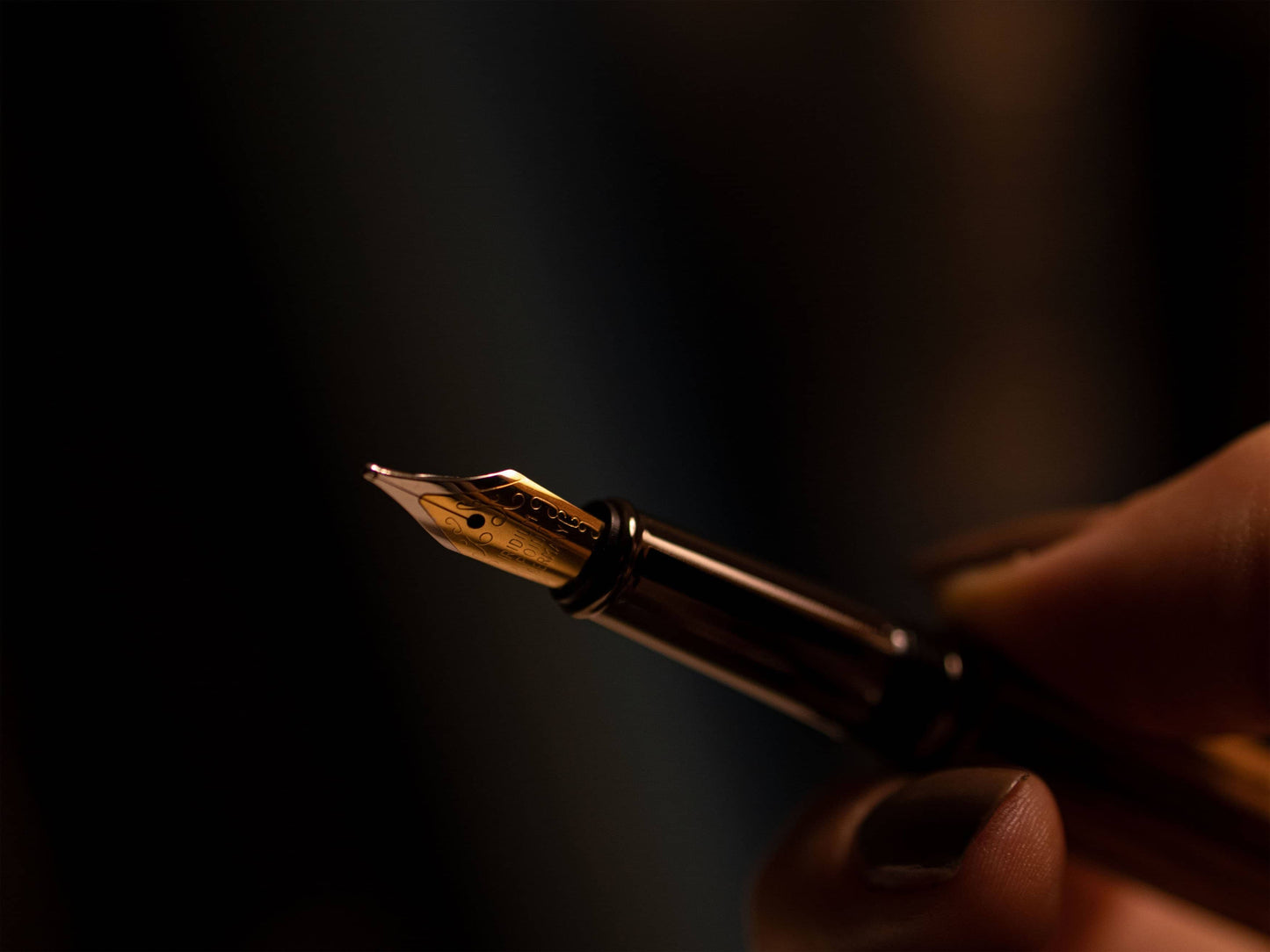 Caesal Füllfederhalter Zebrano Detailaufnahme Federspitze, in Hand