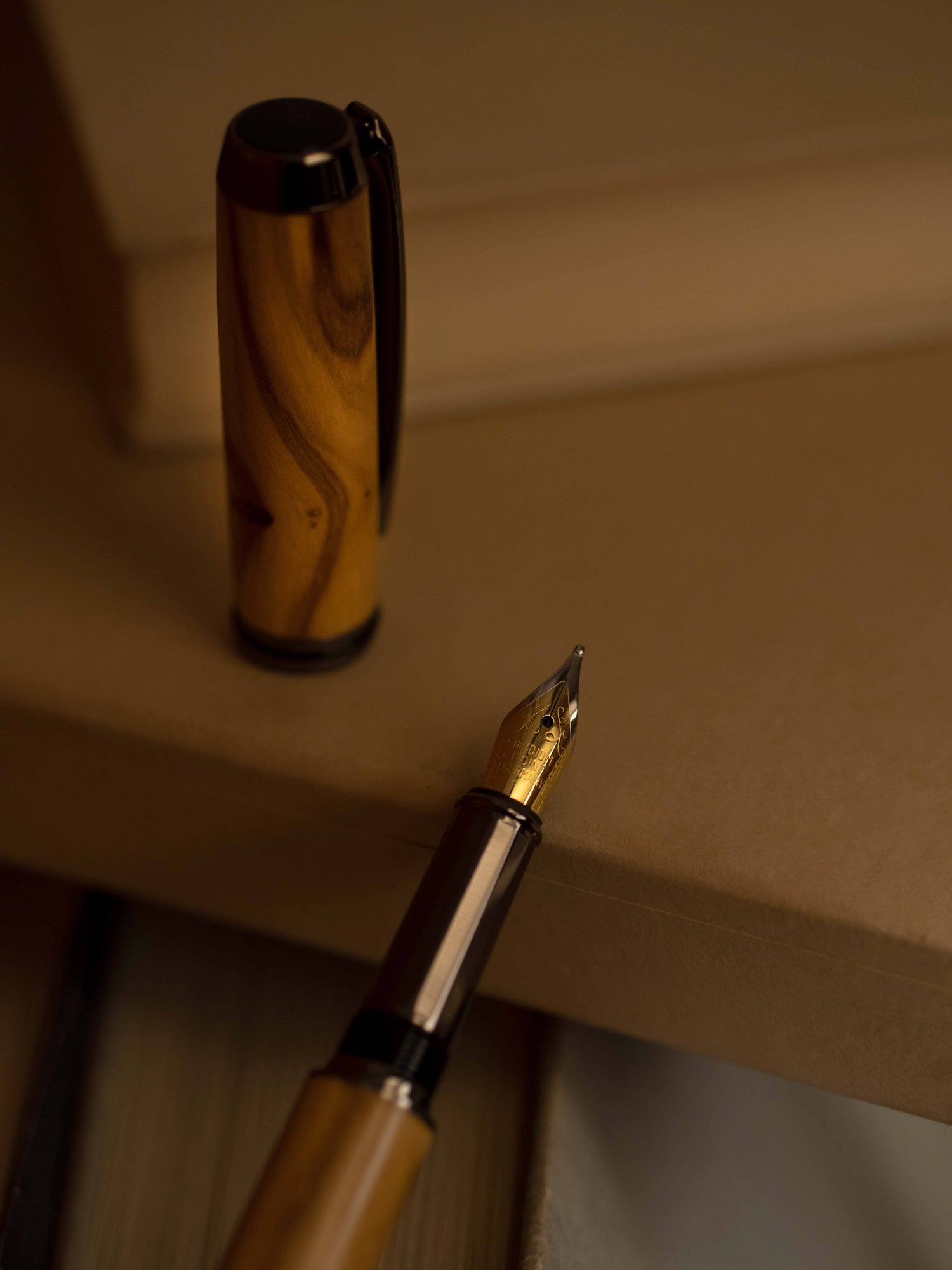 Olia Füllfederhalter Olivenholz Detailaufnahme Federspitze